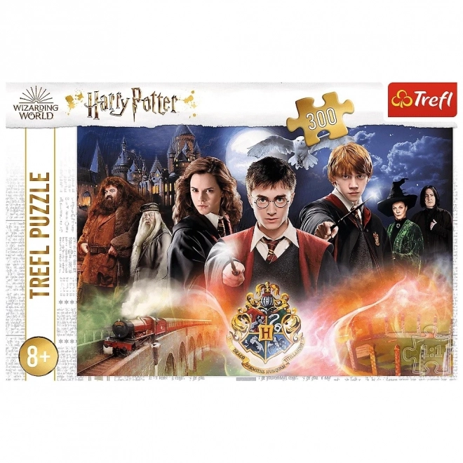 Mysterious Harry Potter 300 Piece Puzzle