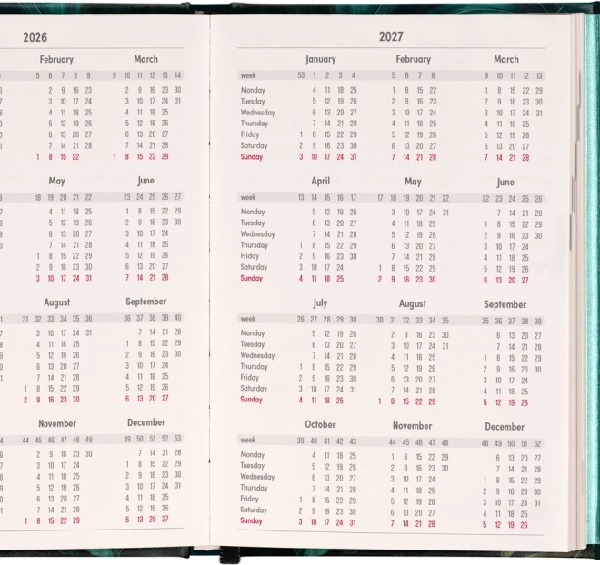 Weekly Magnetic Diary Monstera 2026, 11 x 16 cm