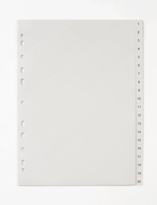 Trennblatt A4 1-20 PP