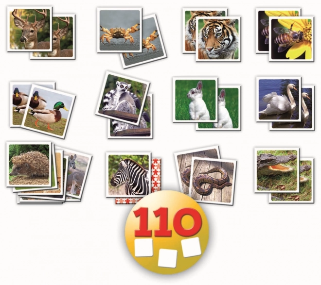 Educa Memory Game Animals