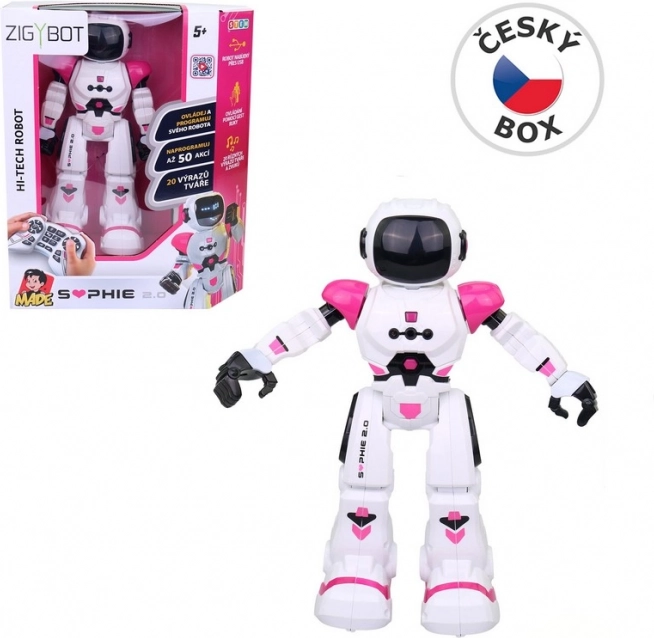 Sophie, the Robot Friend MaDe
