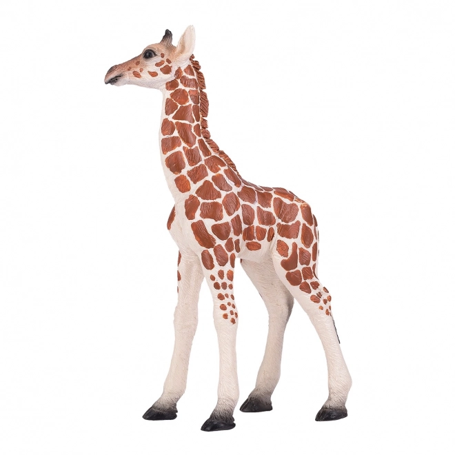 Mojo girafje jong