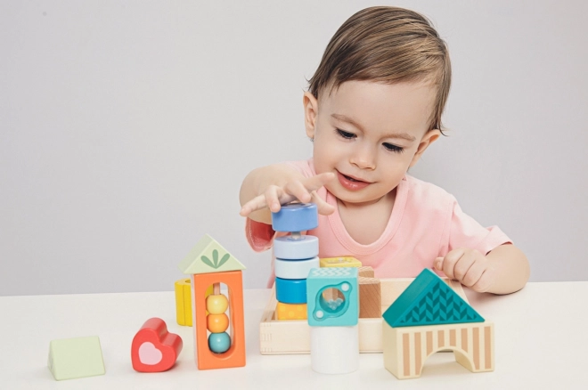 Classic World Wooden Sensory Blocks Montessori Set