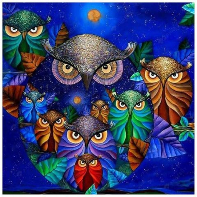 Diamantschilderen 7D – uilen aan de nachtelijke hemel 30 × 40 cm