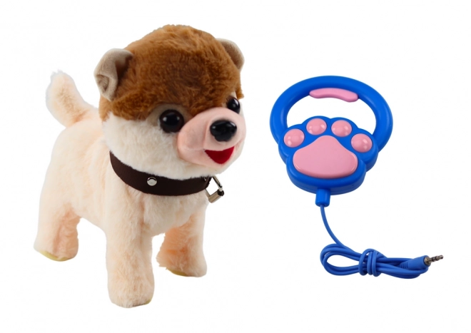 Interactive Puppy on a Leash