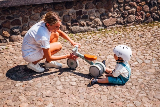 Kinder loopfiets MoMi Tedi roze