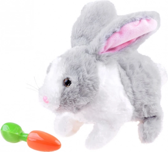 Crunches the carrot