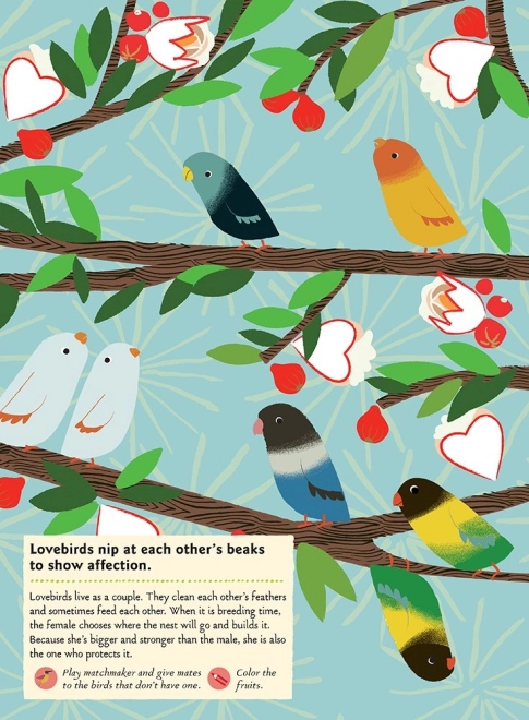 Chronicle Boeken Activiteitenboek met stickers mijn natuur Vogels van de wereld