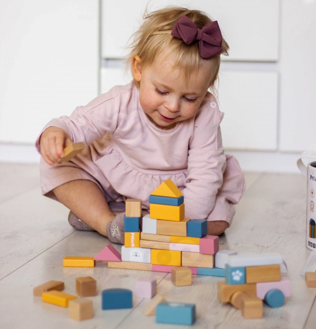 Wooden Block Set 60 Pieces