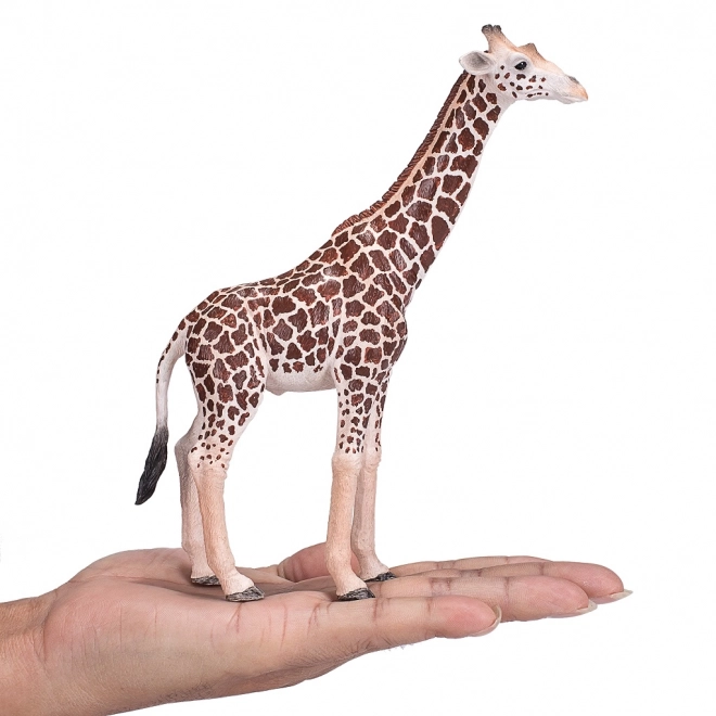 Mojo Dieren Planeet giraffe wijfje