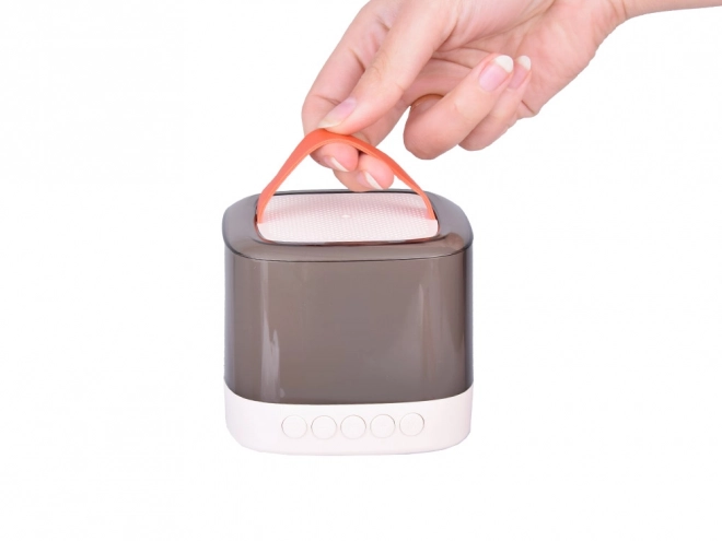 Microfoon met draadloze luidspreker en Bluetooth