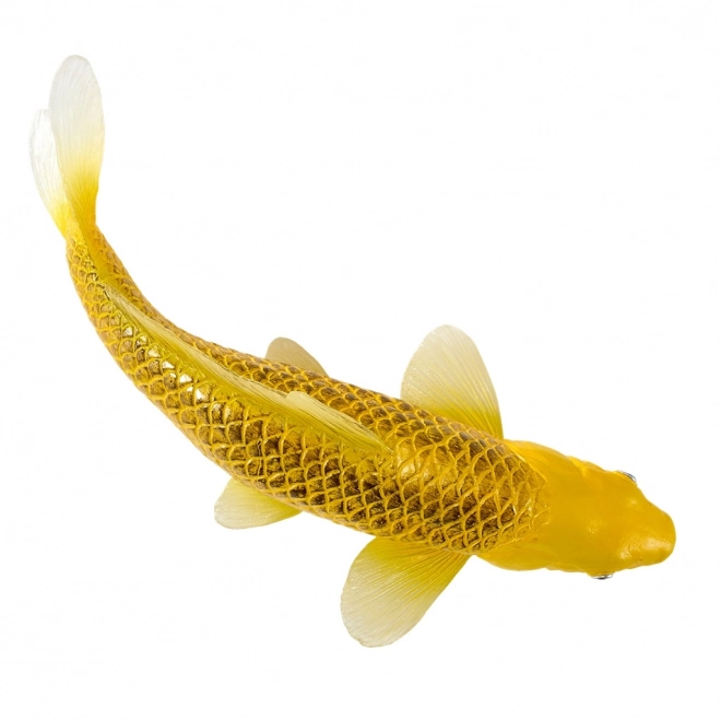 Mojo karper koi Matsuba