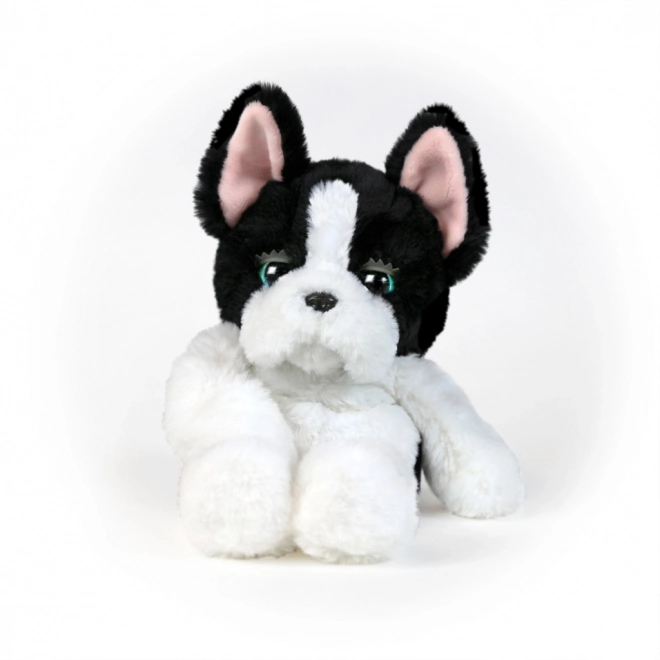 Slaperige diertjes hondje
