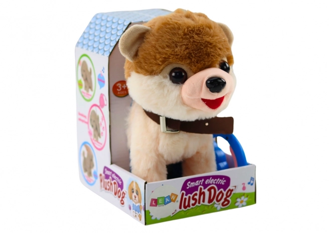Interactive Puppy on a Leash