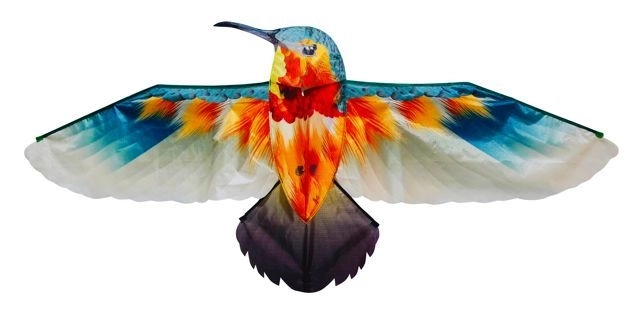 Dragon Hummingbird
