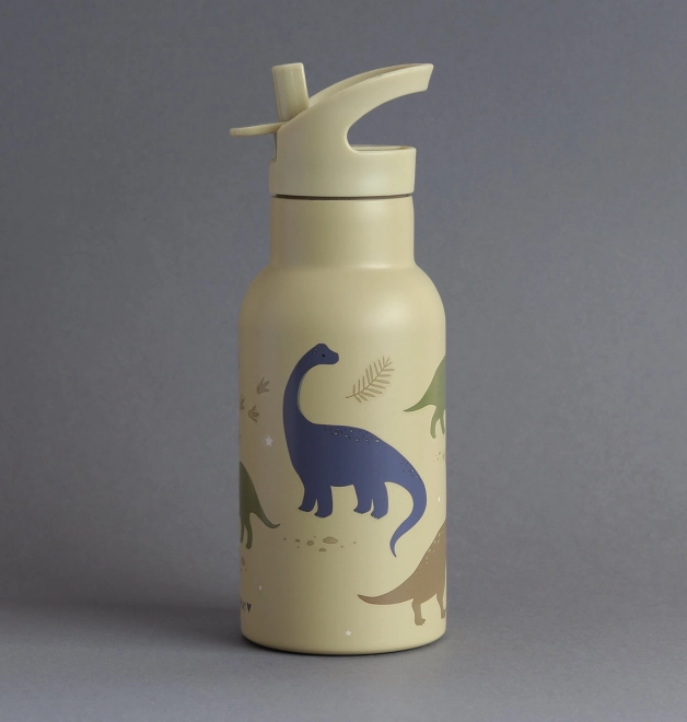Stainless Steel Water Bottle with Dinosaur Design - 350 ml