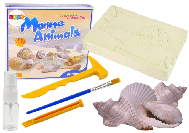 Opgravingsset: Ontdekken van zeedieren