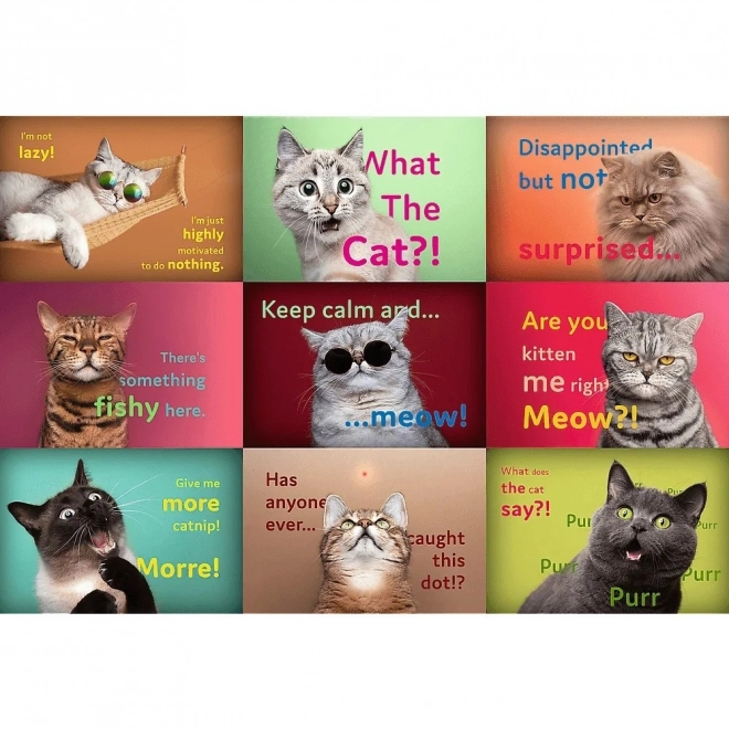 Puzzle 1500 Fun Cat Portraits
