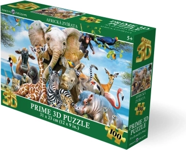 Puzzle Sourire africain 3D 63 pièces
