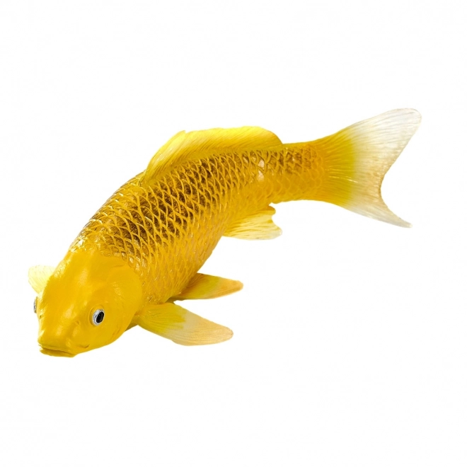 Mojo karper koi Matsuba