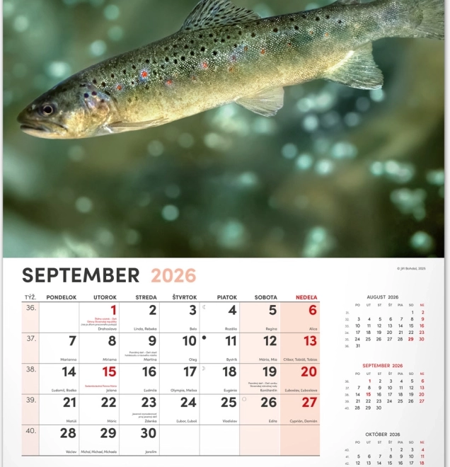 Muurkalender Vissen 2026