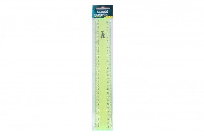 Liniaal neon 30 cm