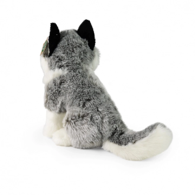 Pluchen husky 30 cm Milieuvriendelijk