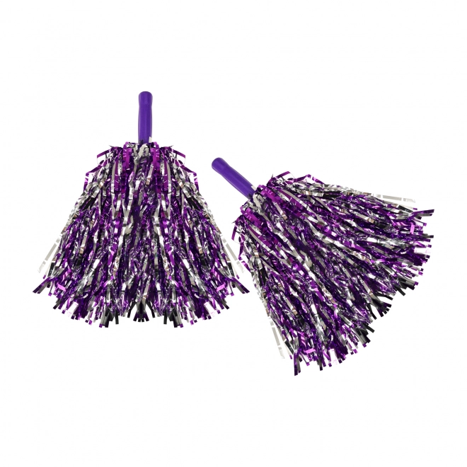Purple and Silver Cheer Pom Pom