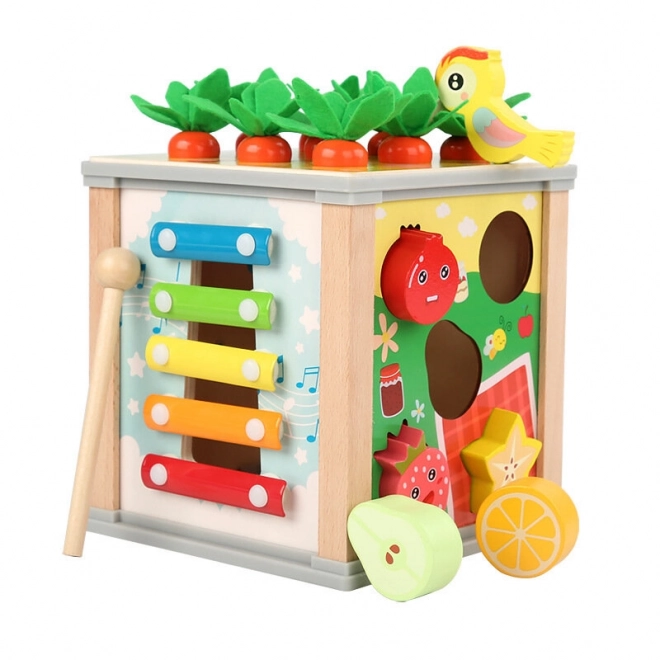 Houten educatieve kubus 5-in-1 voor kinderen