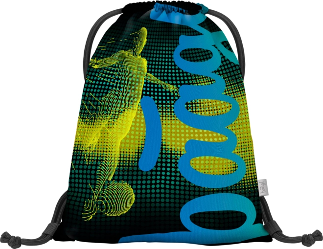 Shoe Bag