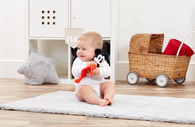 Regenboog Pluchen Knuffeldoekje Mickey Mouse