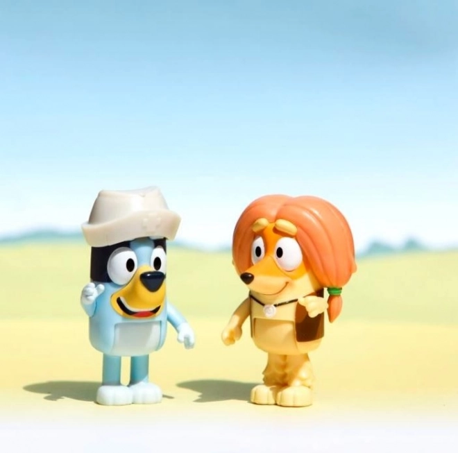 Set van figuren Bluey Doktersbezoek