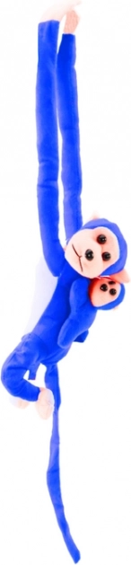 Hook-and-loop fasteners on paws