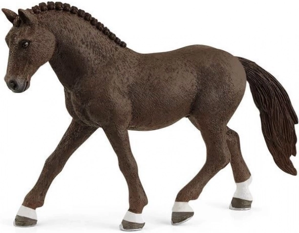 German Riding Pony