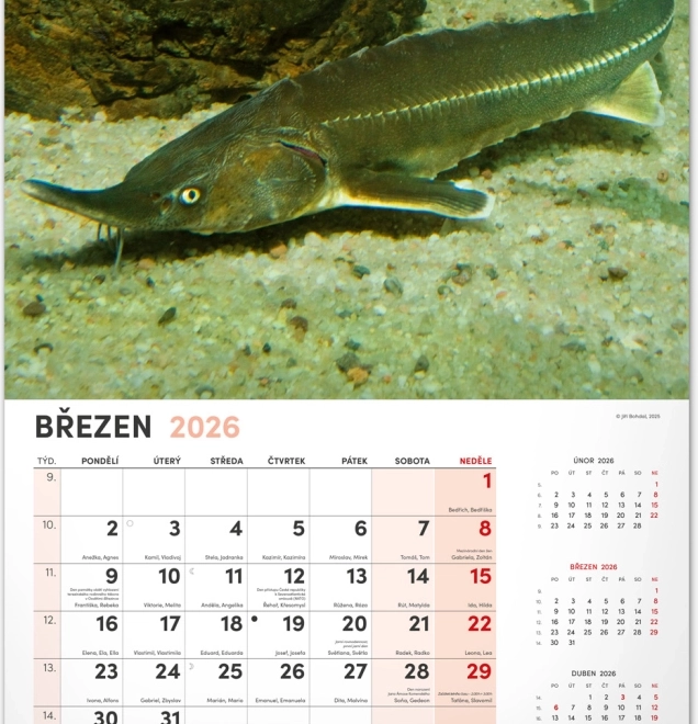 Wandkalender Visserij 2026