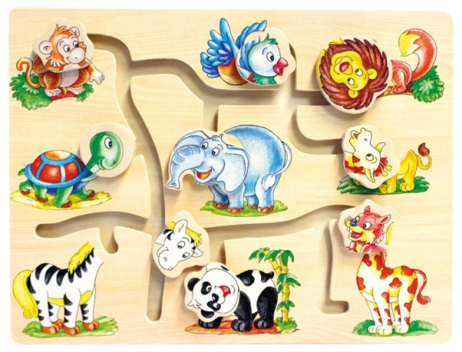 Playful animal recognition