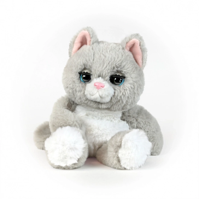 My Fuzzy Friends slaperige katje