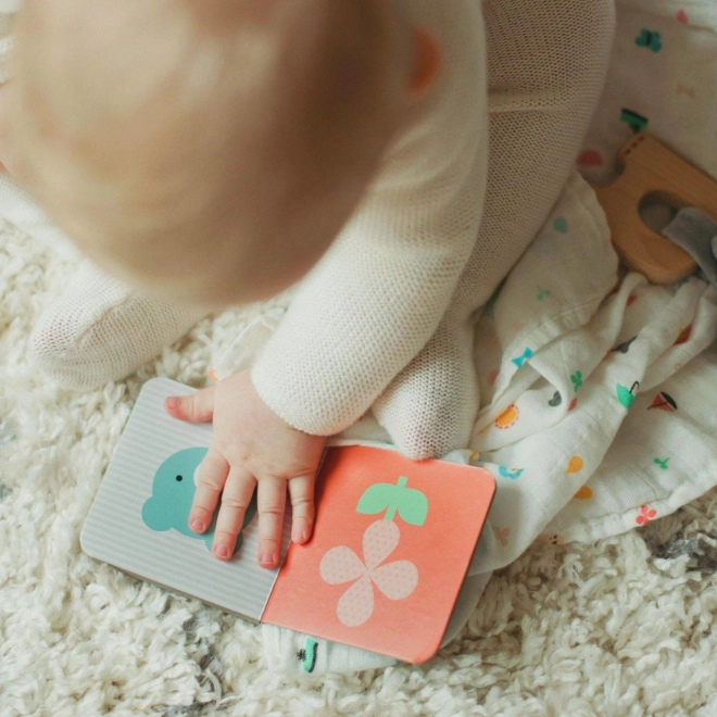 Picture book for first discoveries