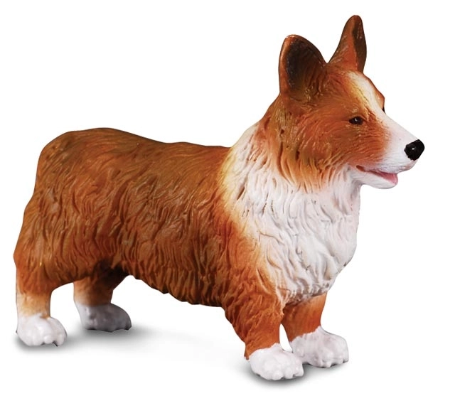 Welsh Corgi Hondenfiguur CollectA