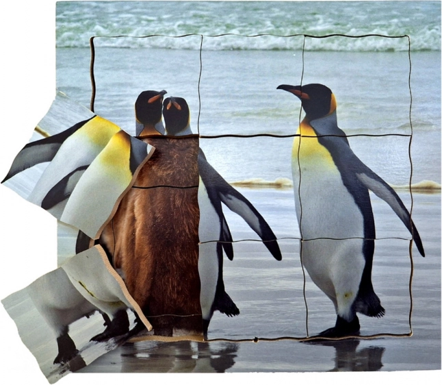 Just Jigsaws Puzzle en bois superposés Pingouin et son cycle de vie 19 pièces
