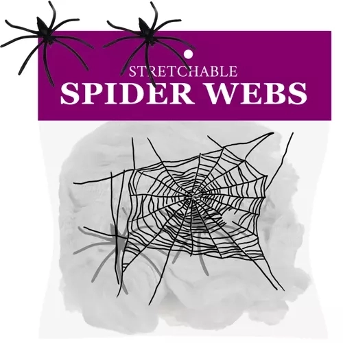 Halloween kunstmatige spinnenweb met spinnen