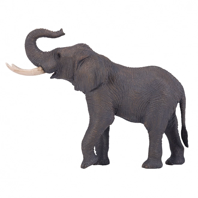 Mojo Afrikaanse Olifant