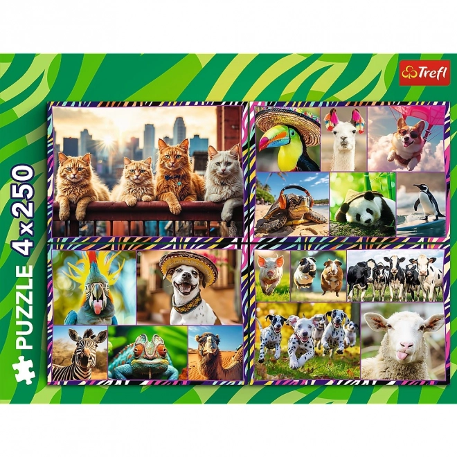 Jigsaw Puzzle Set - Funny Animals