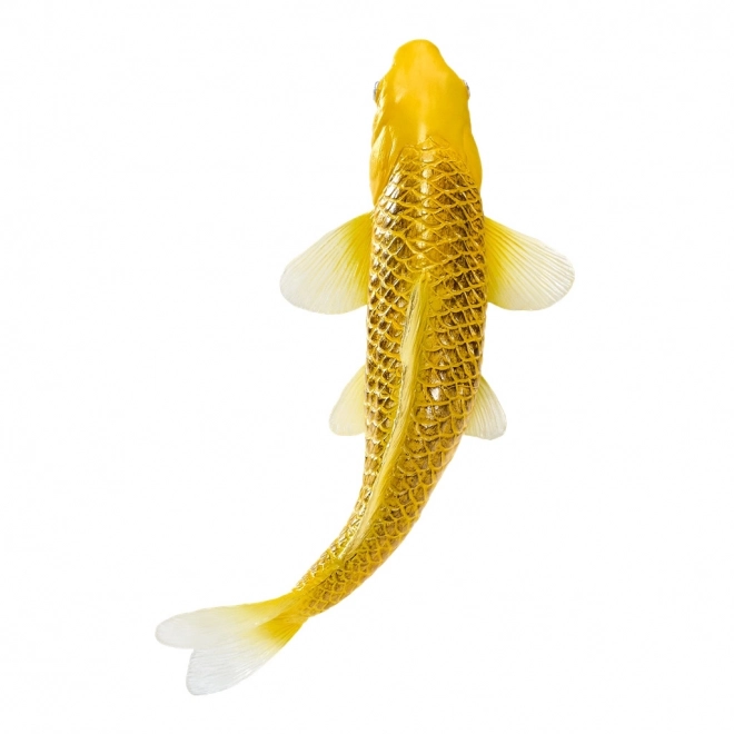 Mojo karper koi Matsuba