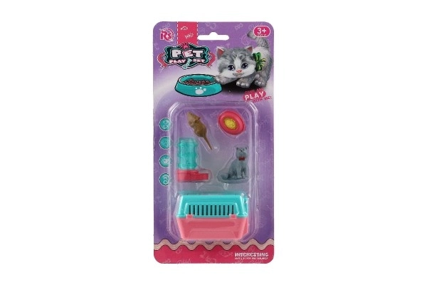 Poes met draagbare doos en accessoires