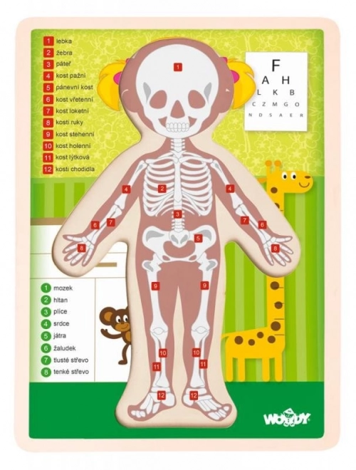 Woody Wooden Double-sided Puzzle Human Body - Girl