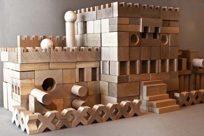 EkoToys Houten Blokken Natuurlijke 220 stuks XL