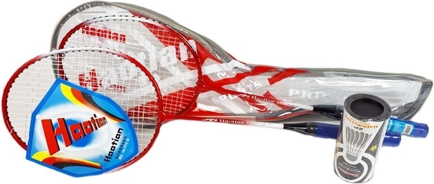 Badminton-Set mit Bällen im Etui