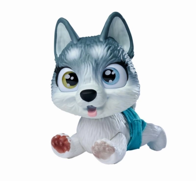 Hund Husky Pamper Petz in der Wanne
