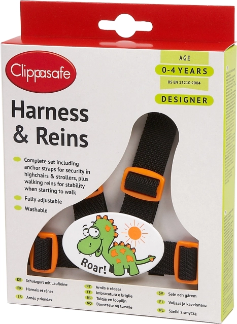 Kinderleiband, Dinosaurus